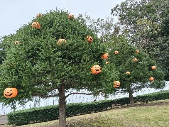 ☆お出かけ日和☆