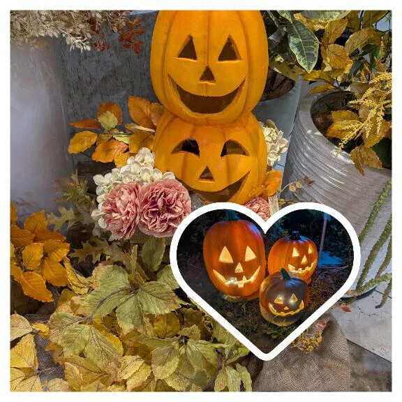 ハロウィン🎃