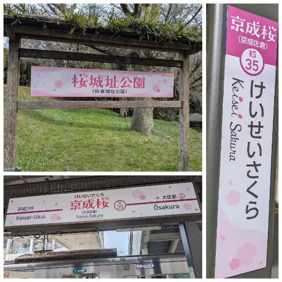 京成桜駅💕