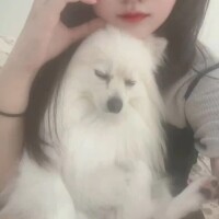しゅがー