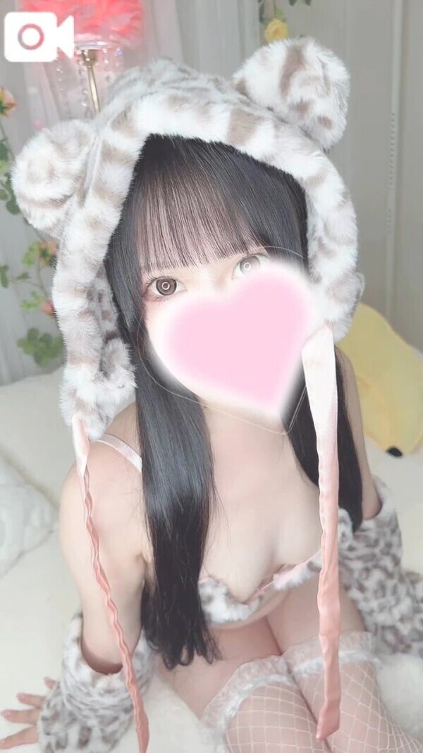 🐈？🐯？
