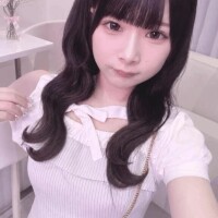います😽