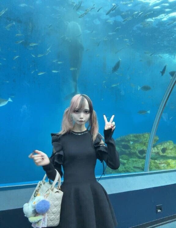 🐟