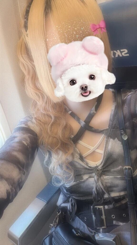 すきー？