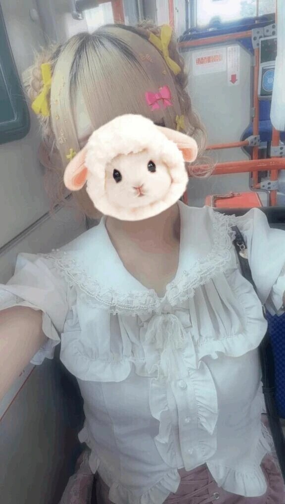 ₍ᐢ‥ᐢ₎ ♡