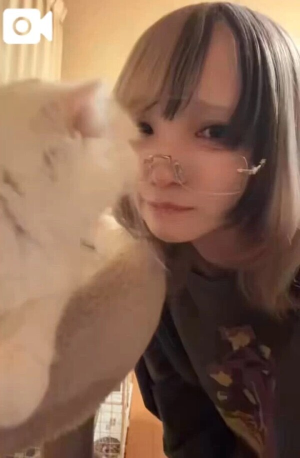 にゃーん