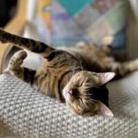 🎀ありがとうございました🎀