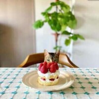 🎀ありがとうございました🎀