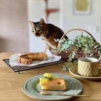 🎀ありがとうございました🎀