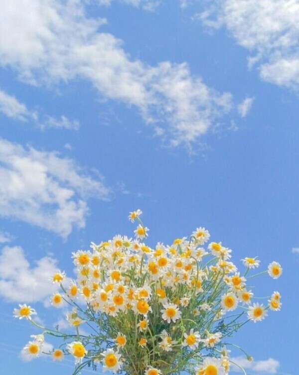 おはようございます♡