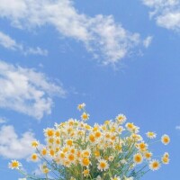 おはようございます♡