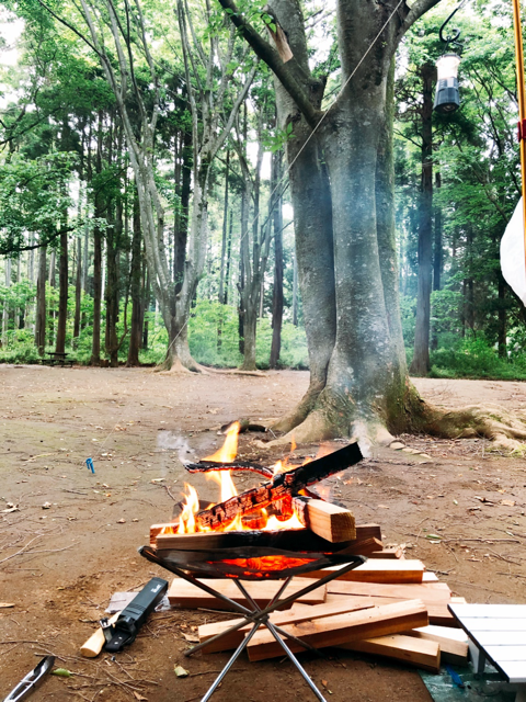 キャンプ🏕️