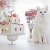 🌼ありがとうございました🌼