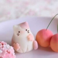 🌼ありがとうございました🌼