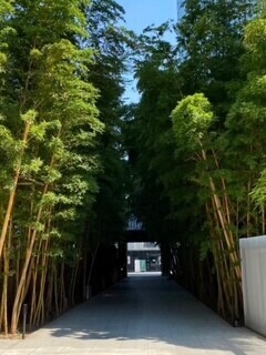 お疲れ様です♡