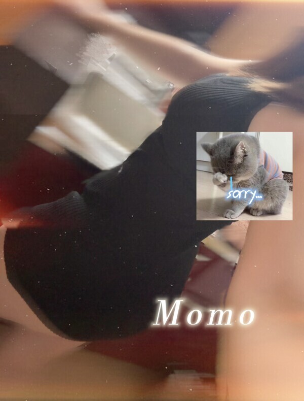 昨日は🙇‍♂️