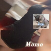 昨日は🙇‍♂️