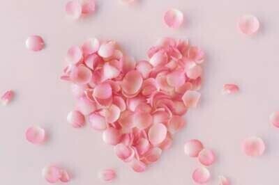 🎀ありがとうございました🎀