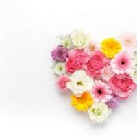 🎀ありがとうございました🎀