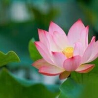 本日はありがとうございました🌷