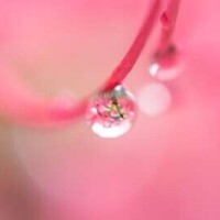 🎀ありがとうございました🎀