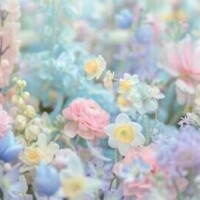 🎀 ありがとうございました🎀