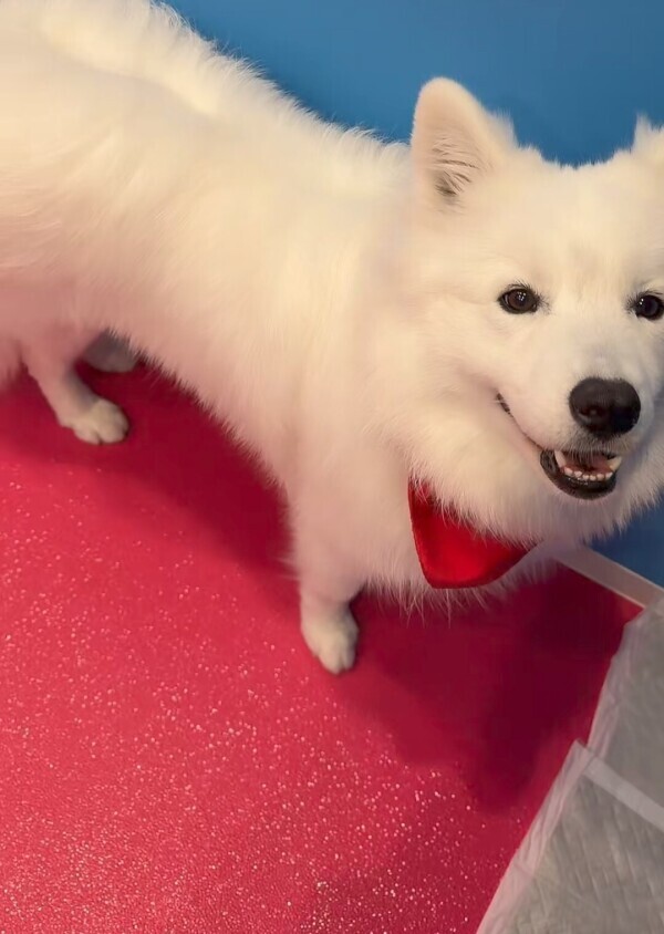 海の日🌊