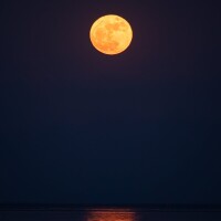 (｢・ω・)｢ｶﾞｵｰ🌕🈵