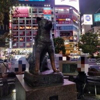 元気っ(•ᵕᴗᵕ•)⁾⁾