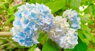 お礼💌