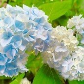 お礼💌
