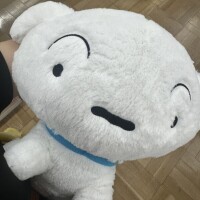 ( ¯꒳¯ )ᐝ