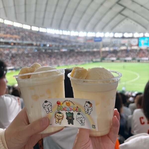 7月になりましたね