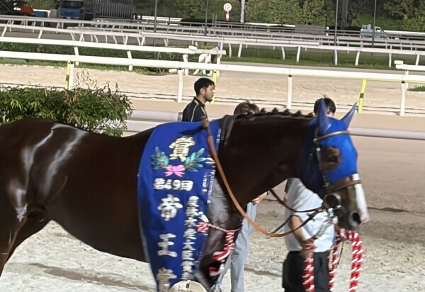 かっこいい🐎