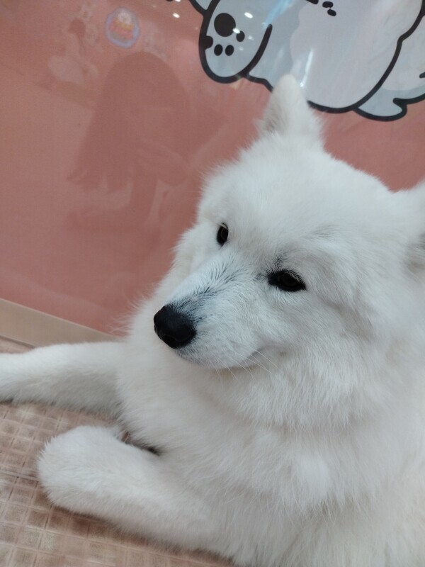 最終日✨