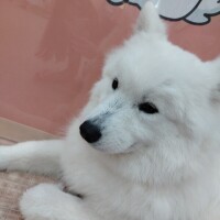 最終日✨