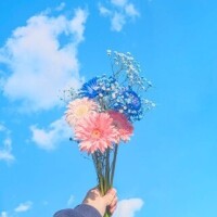 みさき