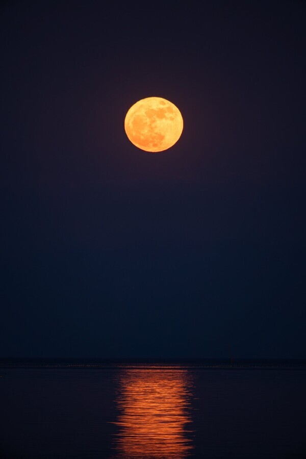 (｢・ω・)｢ｶﾞｵｰ🌕