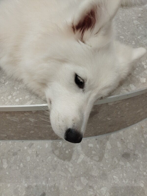 NoTitle