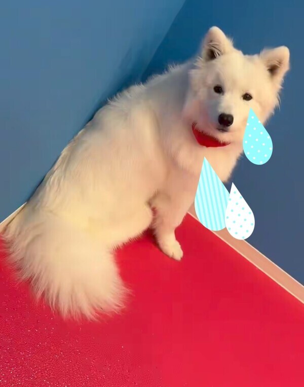 重要🙏🏻みてほしい　本指名のかた😥