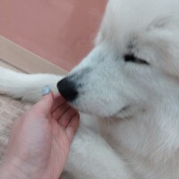 一生懸命誠実に😌