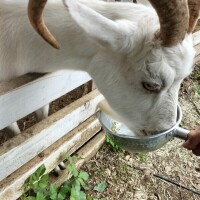 こんばんわ☆
