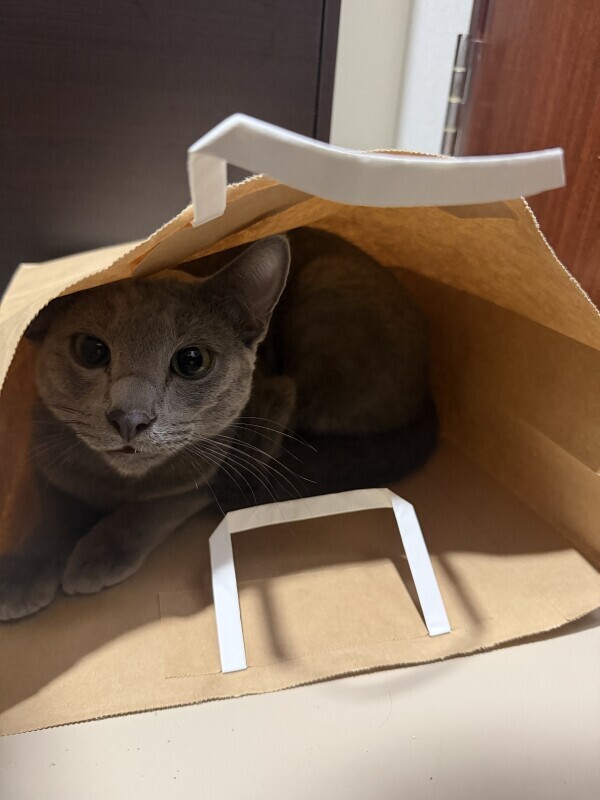 ⭐️月曜日だけど💧‬⭐️