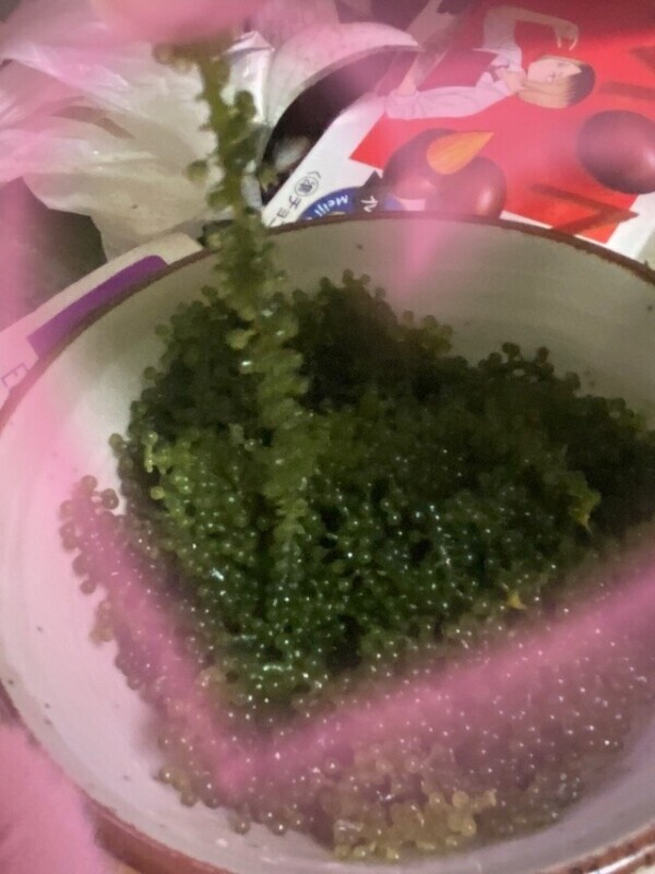 おはようございます^_^日曜日に出勤します❤️