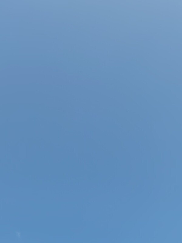 久々の青空ですね