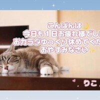 ???????????