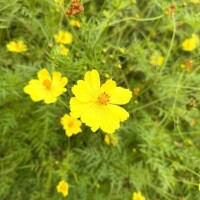 ?久しぶりに?