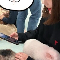🎀しゅーきん🎀