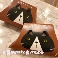 🩷三角チョコパイの季節🩷