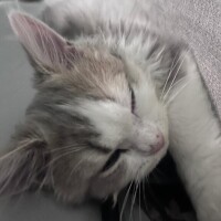 腰骨は折れてなかったョ????